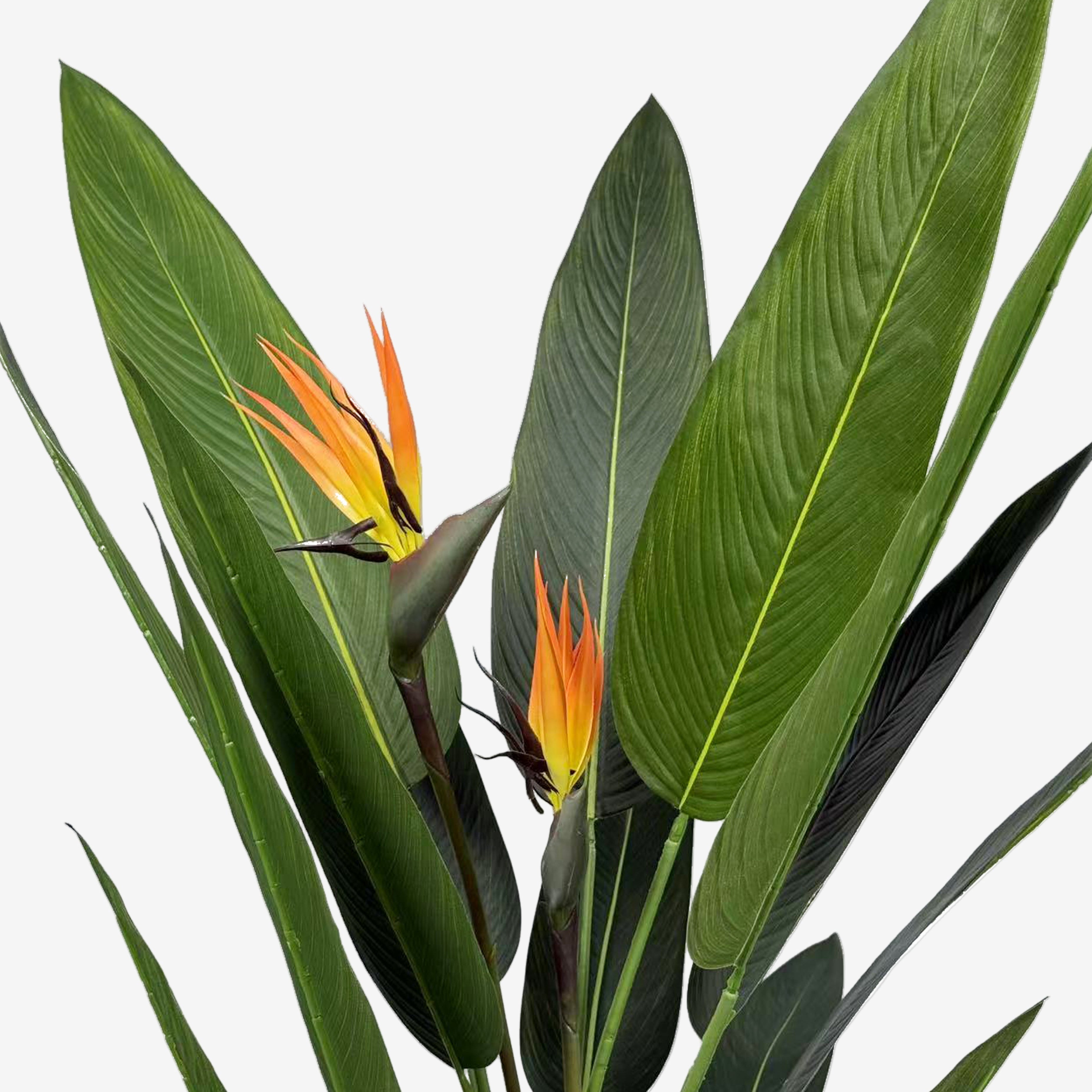Plante artificielle Oiseau de paradis H140/160/180