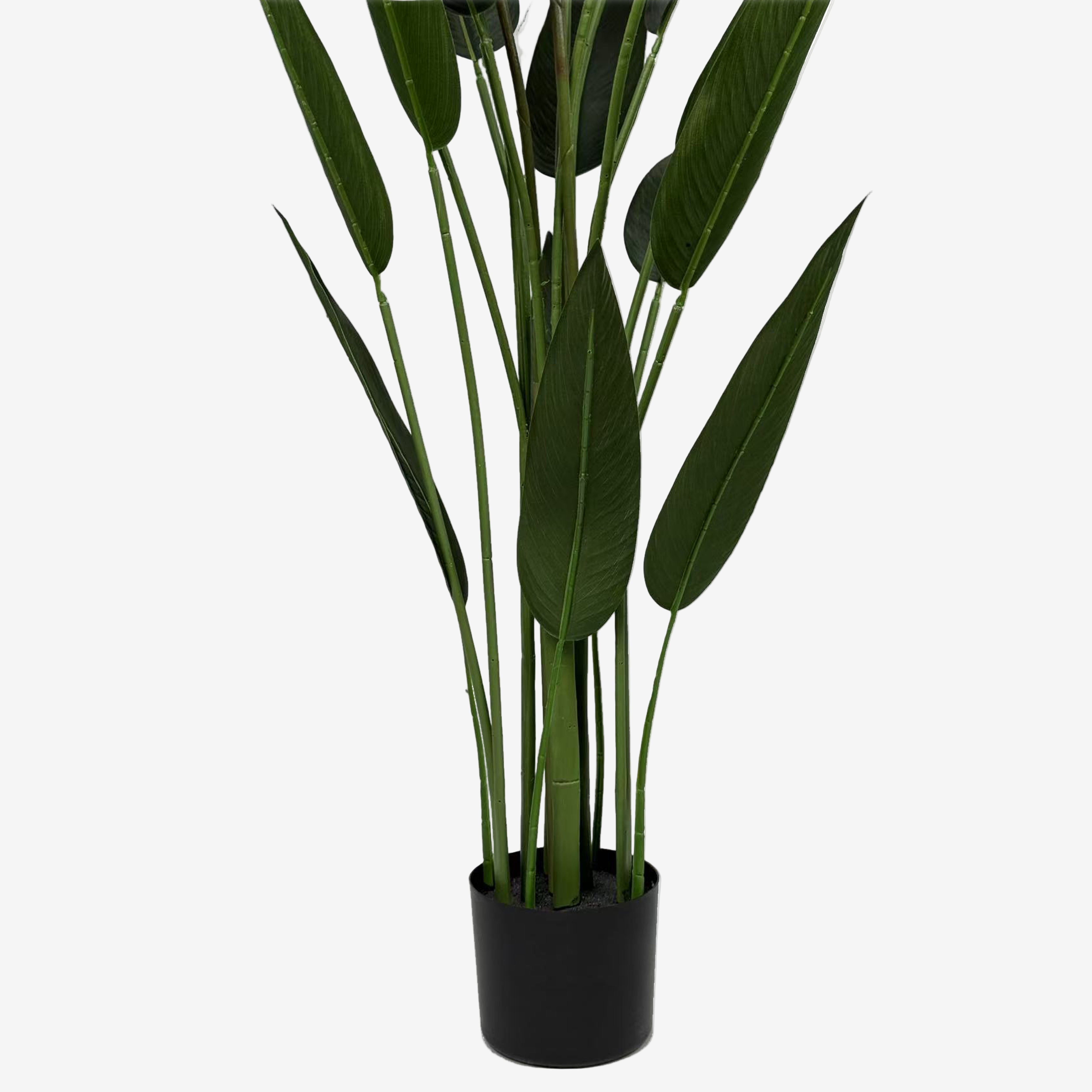 Plante artificielle Oiseau de paradis H140/160/180