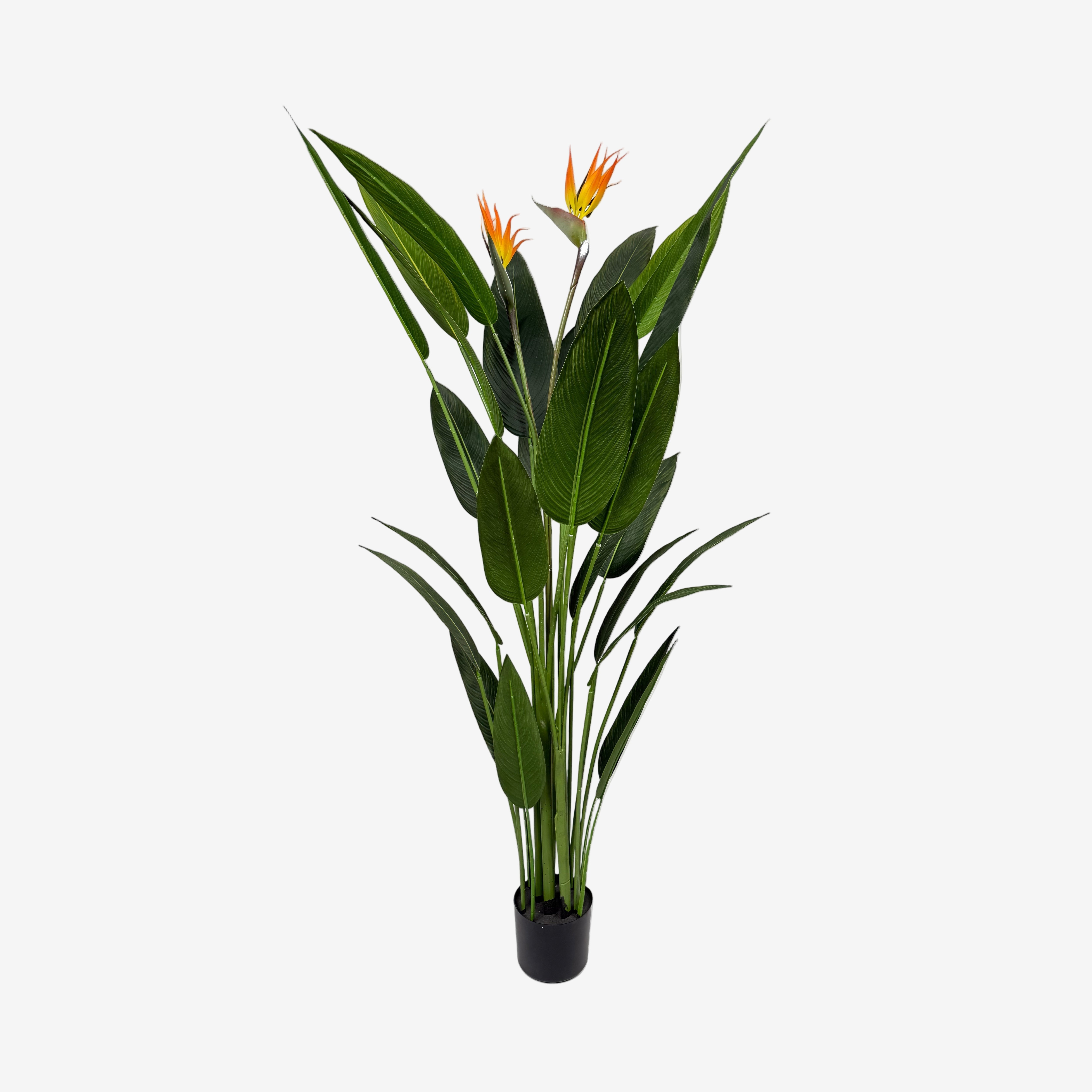 Plante artificielle Oiseau de paradis H140/160/180