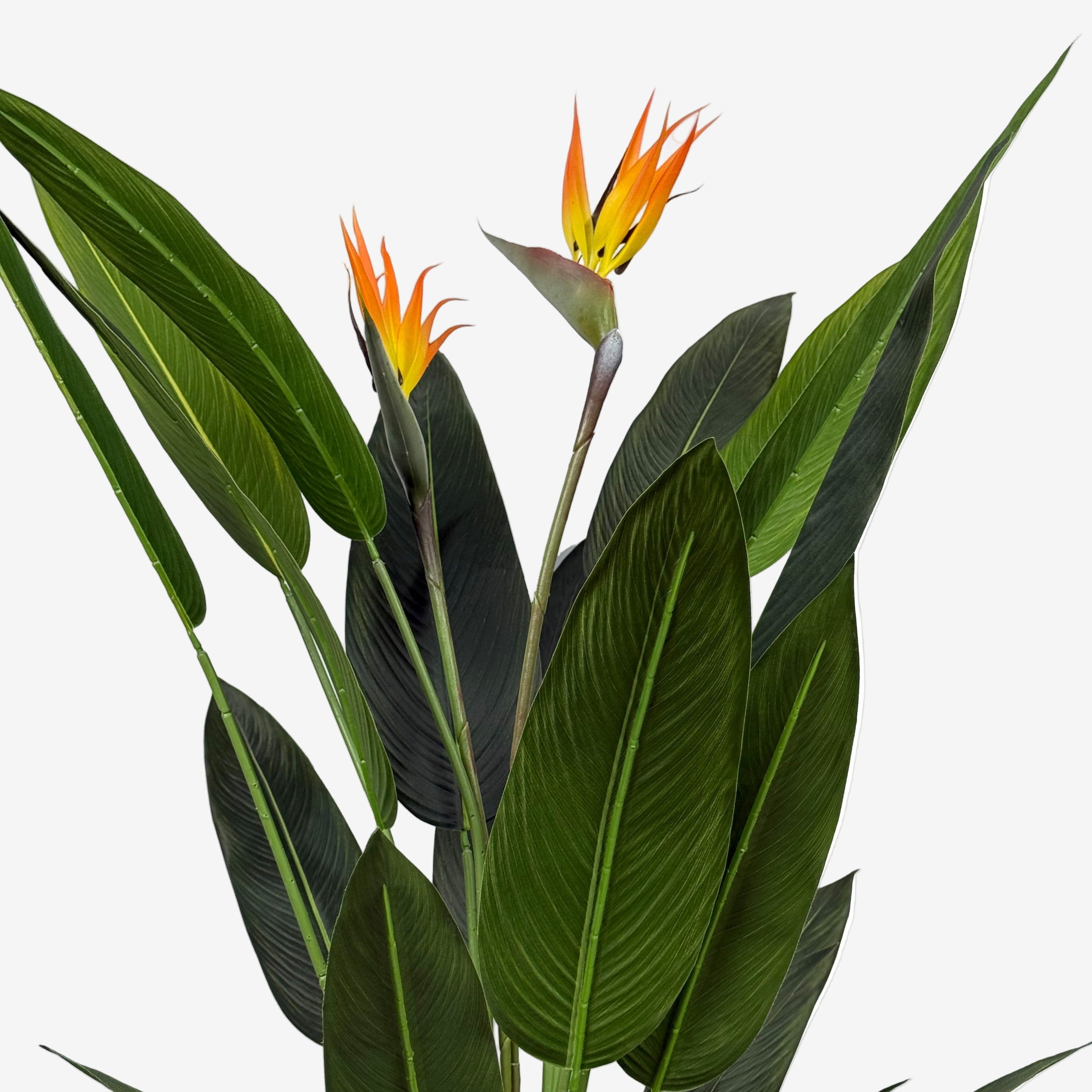 Künstliche Pflanze Ave del Paraíso H140/160/180