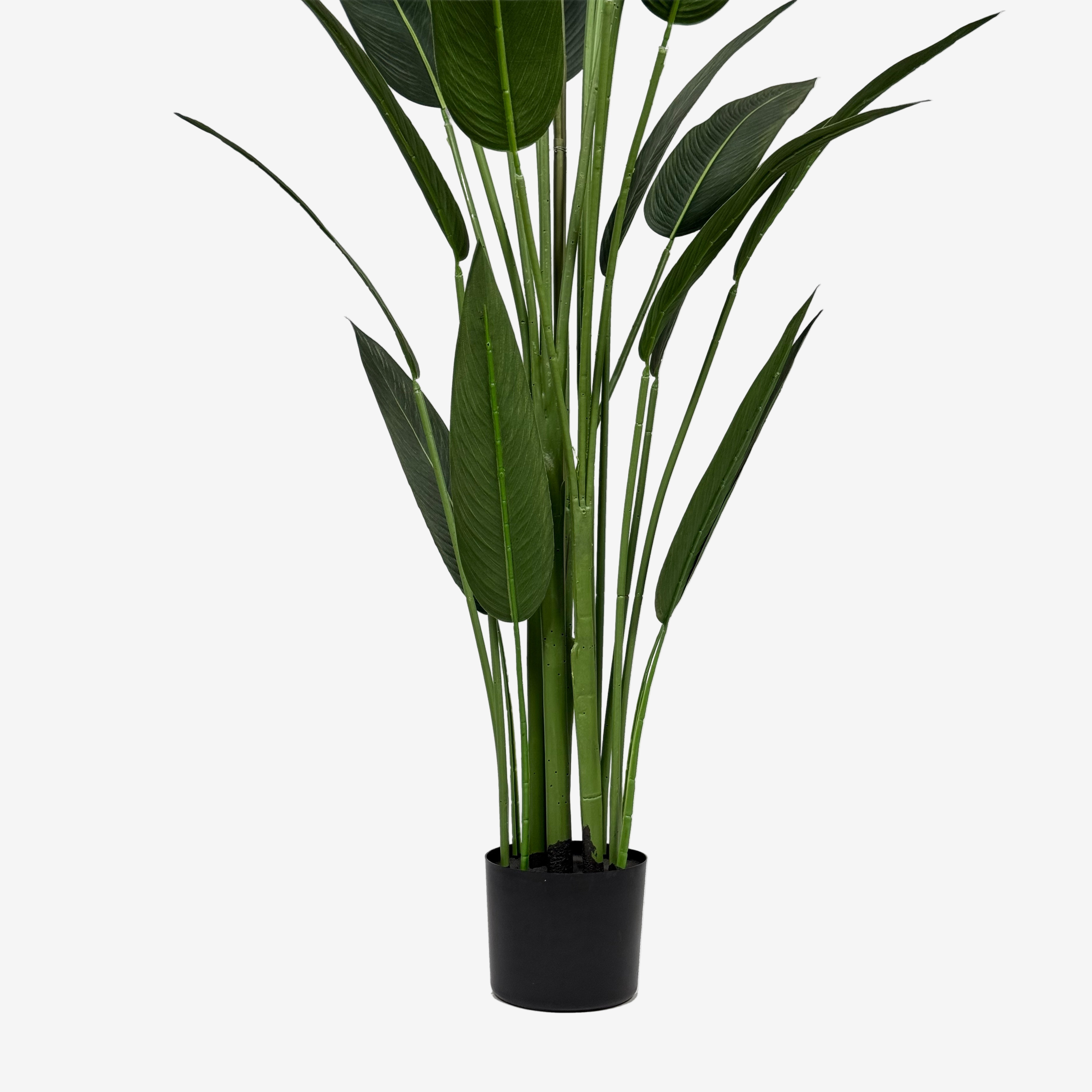 Plante artificielle Oiseau de paradis H140/160/180