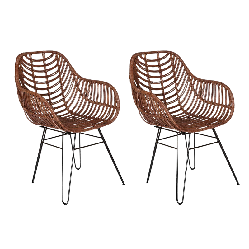 Set van 2 Lionel rotan eetkamerstoelen