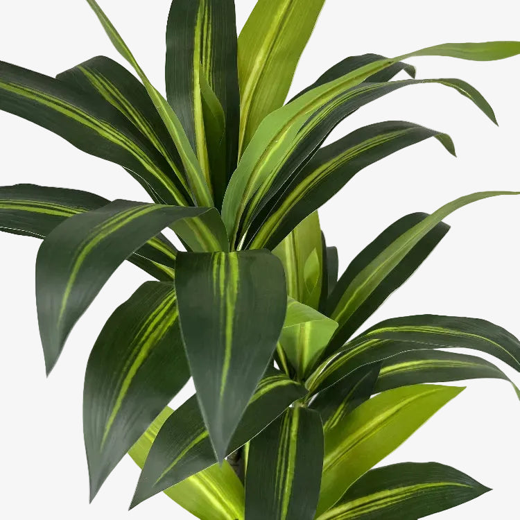 Plante artificielle Dracena H90