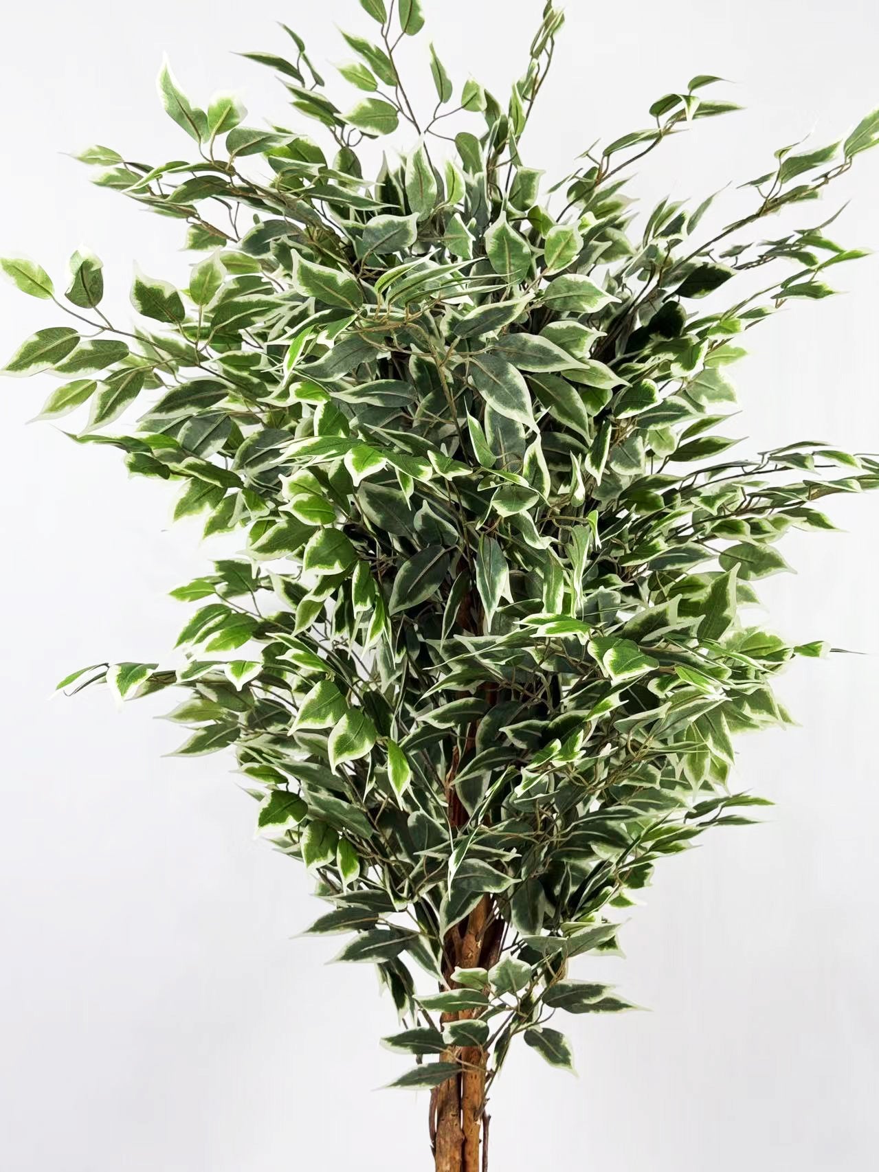Plante artificielle ficus variegata H180