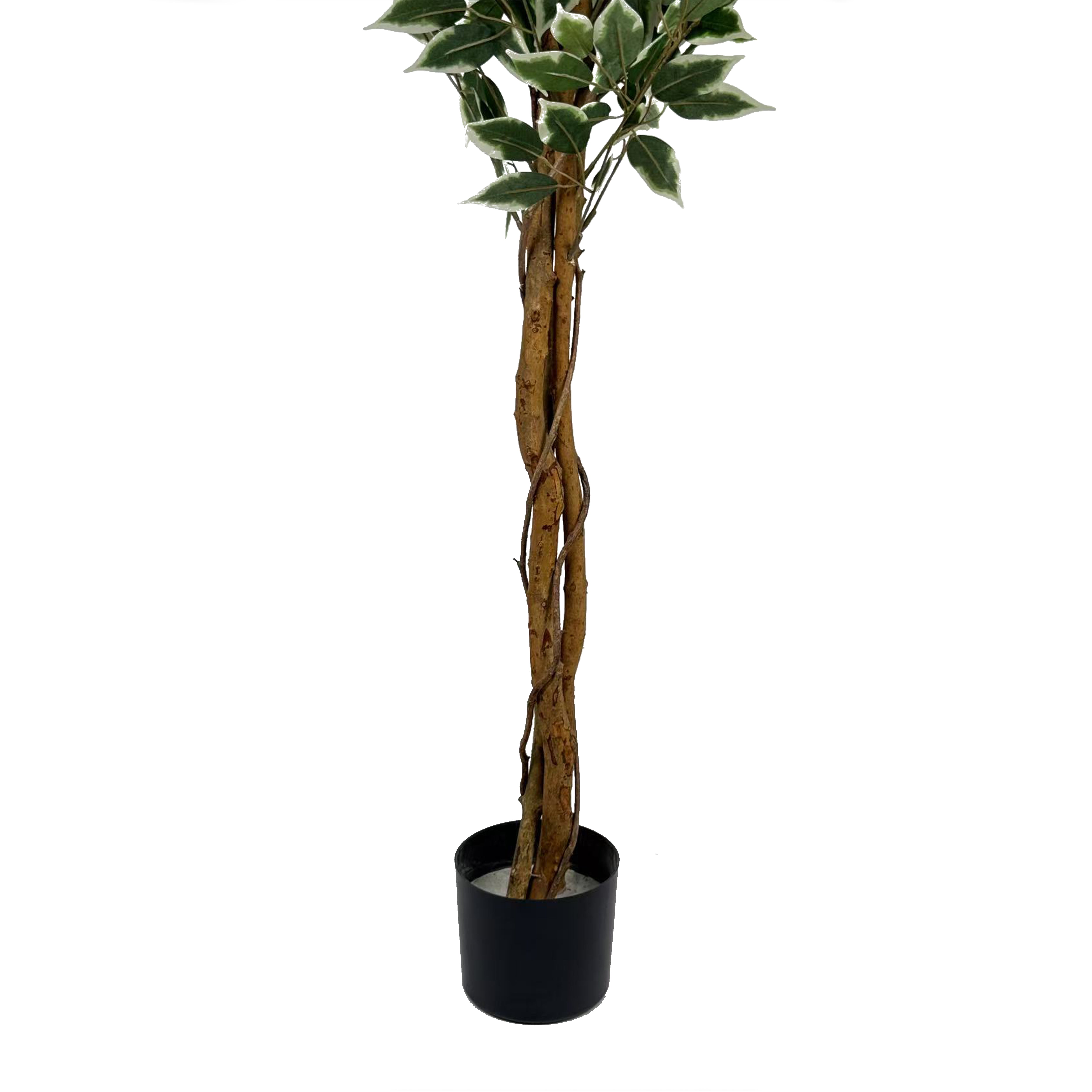 Plante artificielle ficus variegata H180