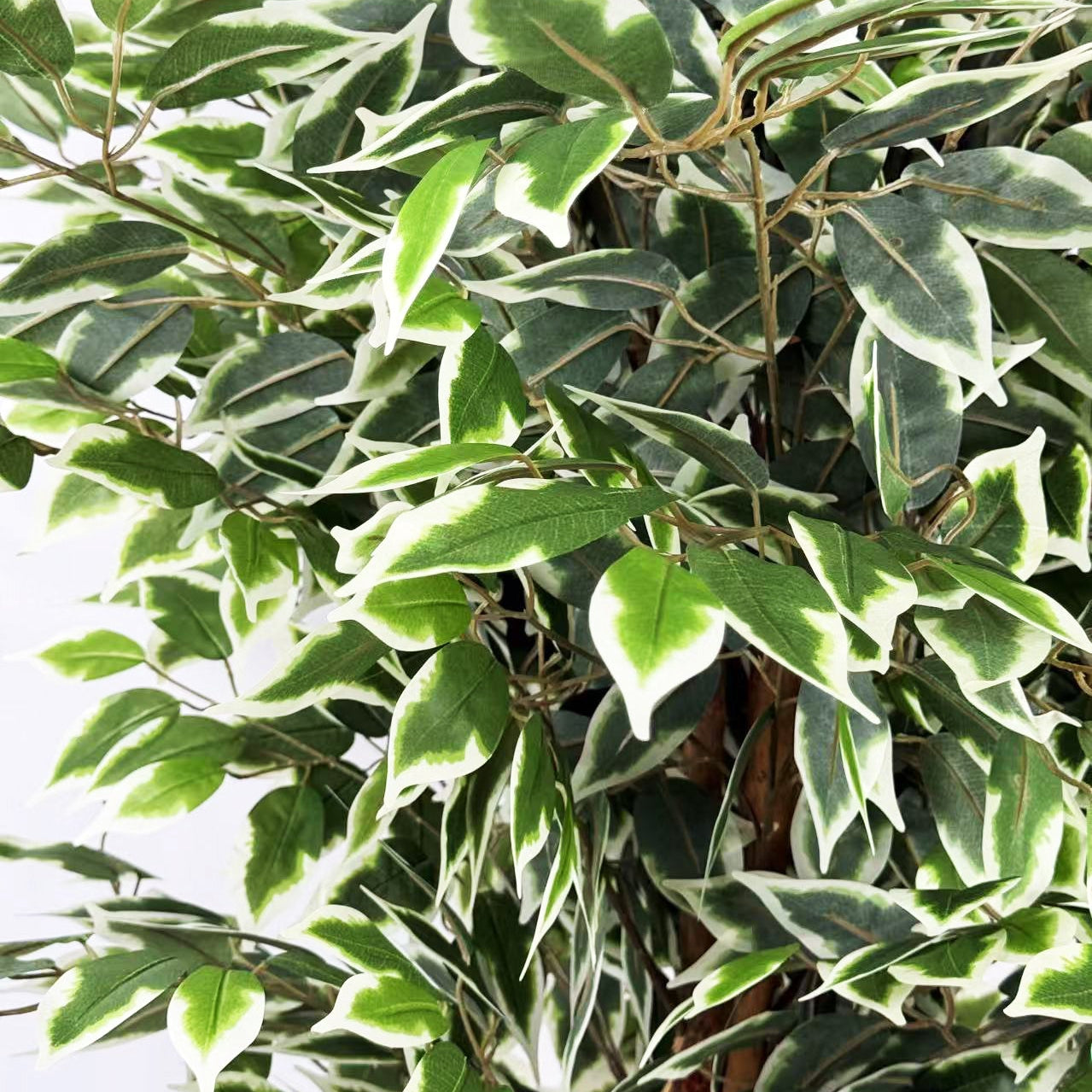 Künstliche Pflanzenficus variegata h180