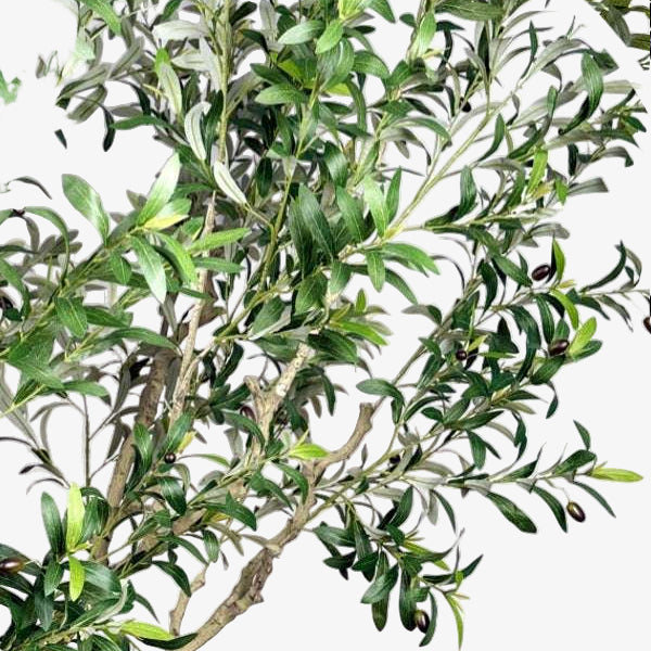 Olivo artificial H250 cm