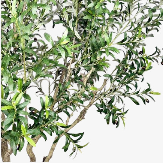 Olivo artificial H250 cm