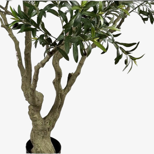 Olivo artificial H250 cm - Vintahome