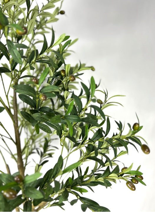 Planta Olivo artificial H180
