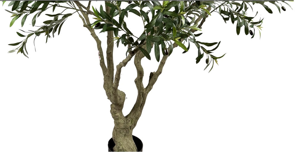 Olivo artificial H250 cm