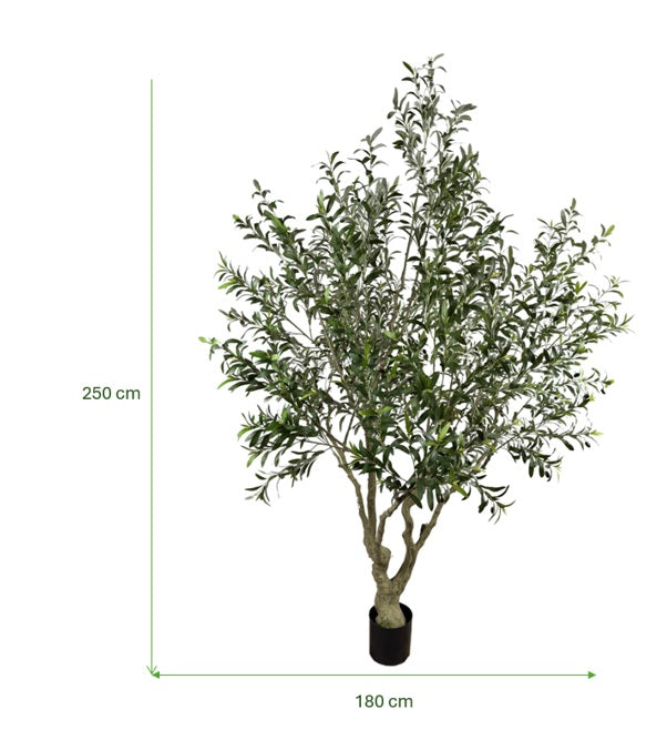 Olivo artificial H250 cm