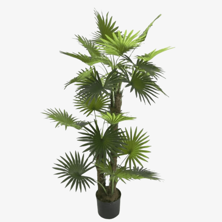 Palmera artificial Fan H150 - Vintahome