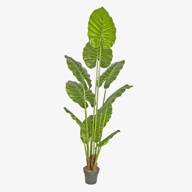 Planta artificial Alocasia H210 - Vintahome