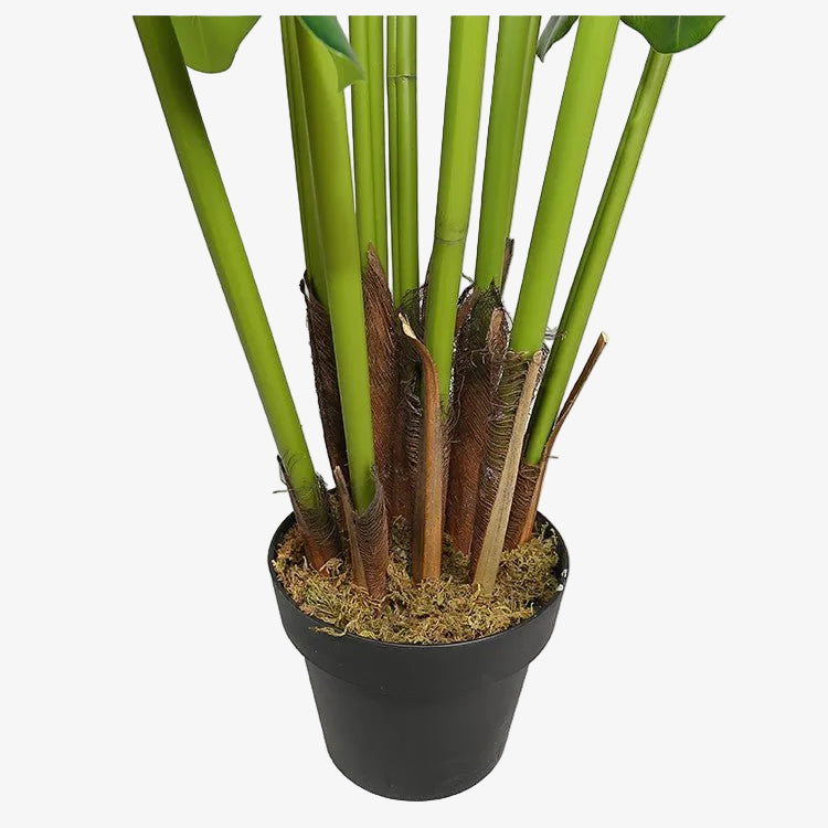 Alocasia da Planta Artificial H210