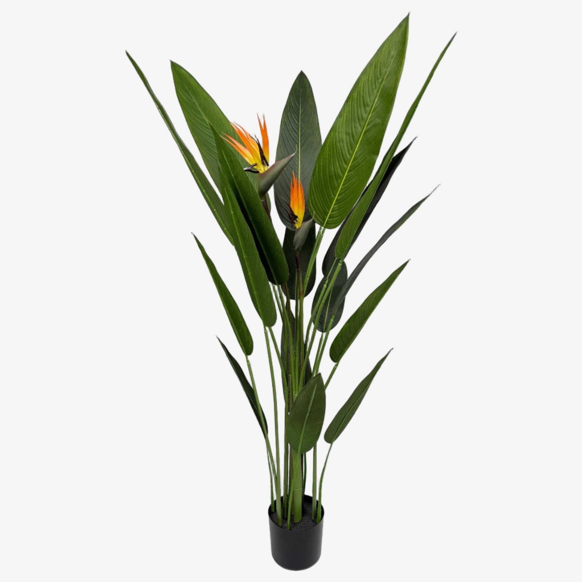 Planta artificial Ave del paraíso H140/160/180 - Vintahome