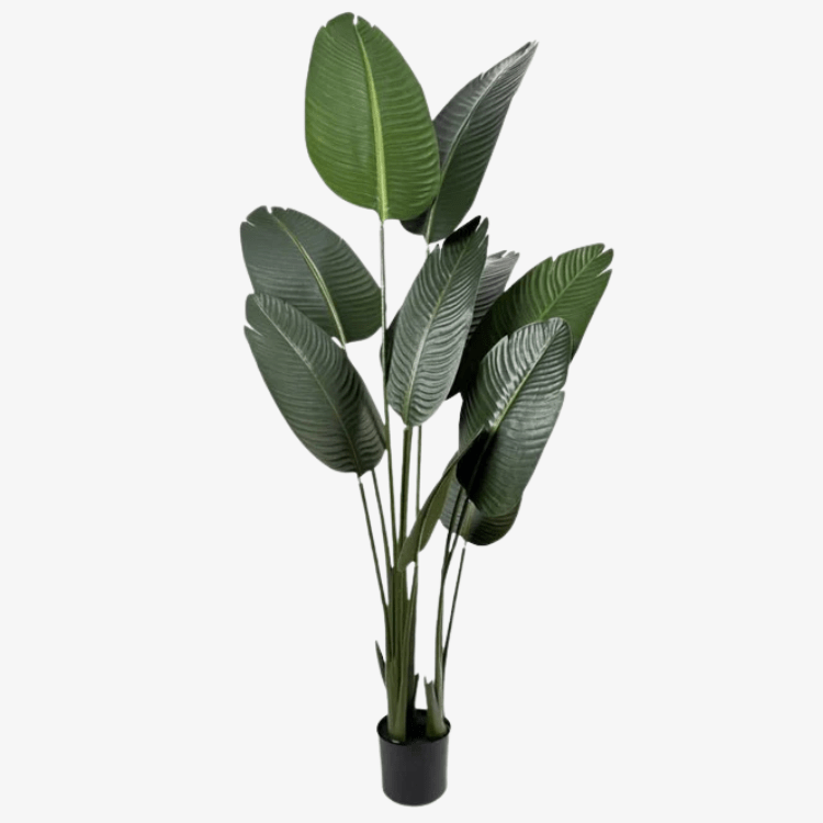 Planta artificial banana viajera H160 - Vintahome