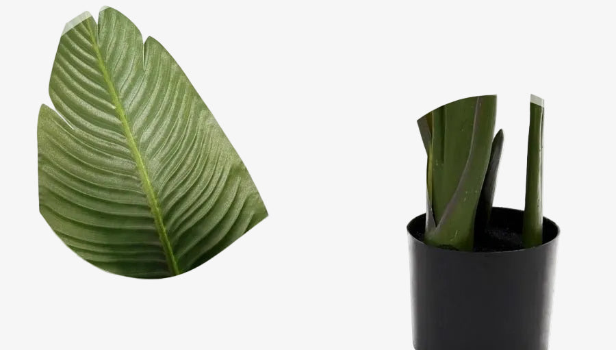 Planta artificial banana viajera H160 - Vintahome