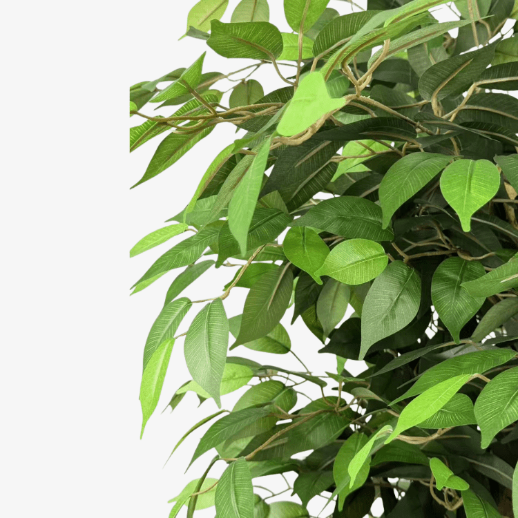 Planta artificial ficus verde H180 - Vintahome