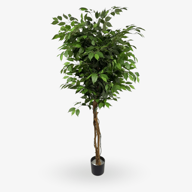 Planta artificial ficus verde H180 - Vintahome