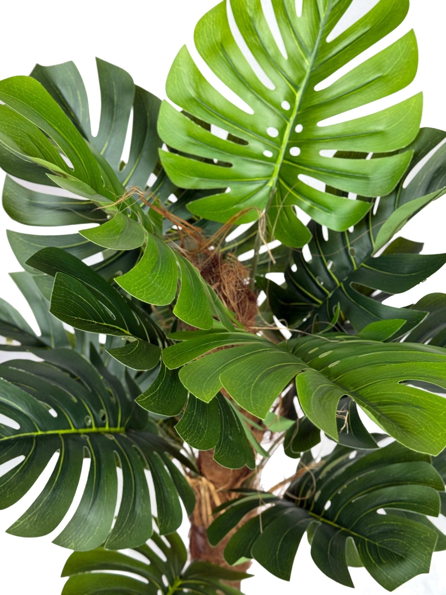 Planta artificial Monstera Philo H100