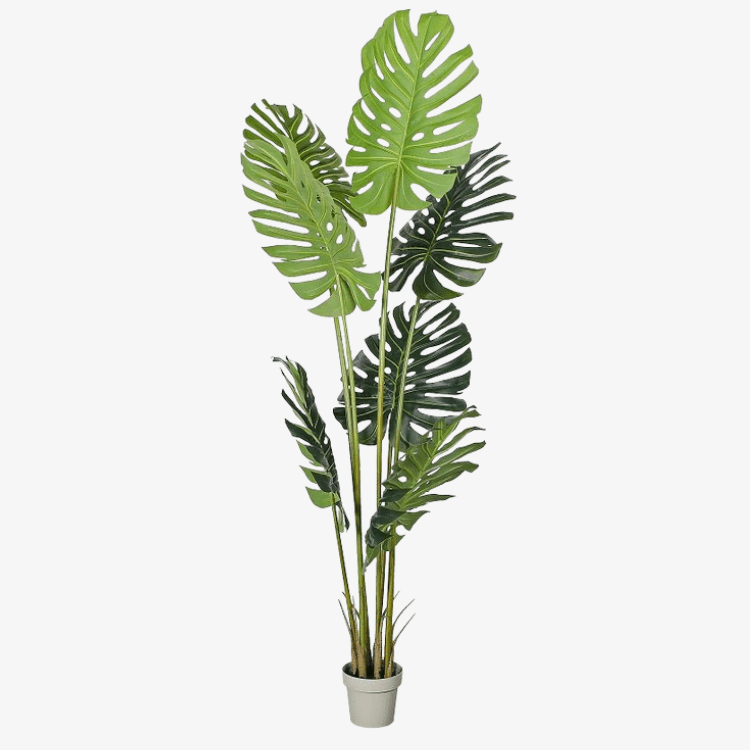 Planta artificial Monstera Philo H230 - Vintahome