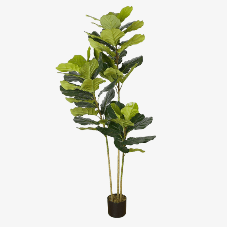 Planta Ficus artificial H175 - Vintahome
