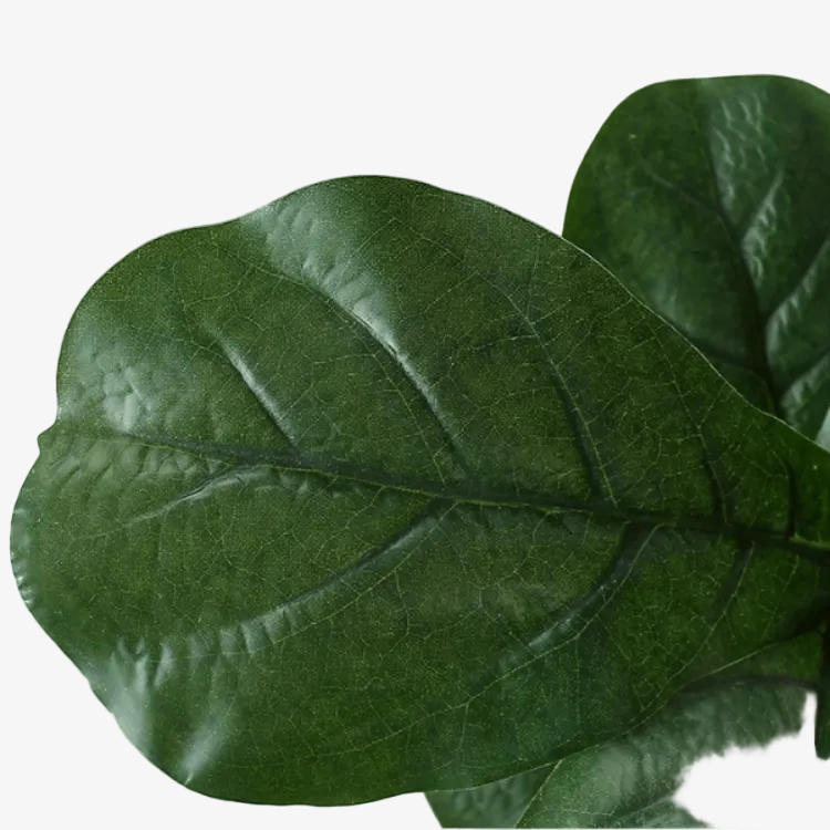 Planta de ficus artificial H175