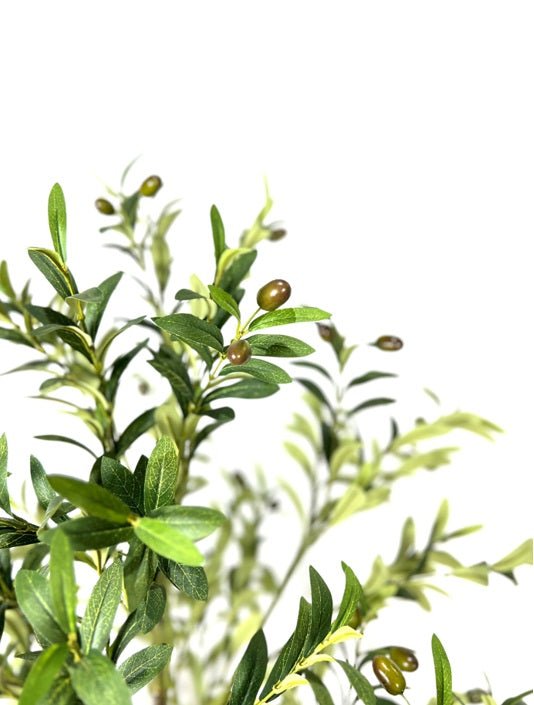 Planta Olivo artificial H180