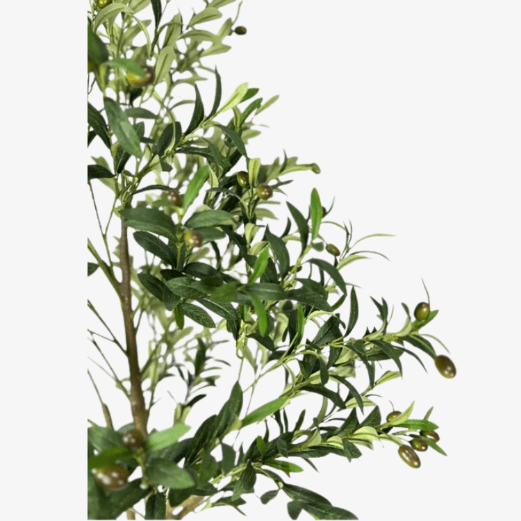 Planta Olivo artificial H180 - Vintahome