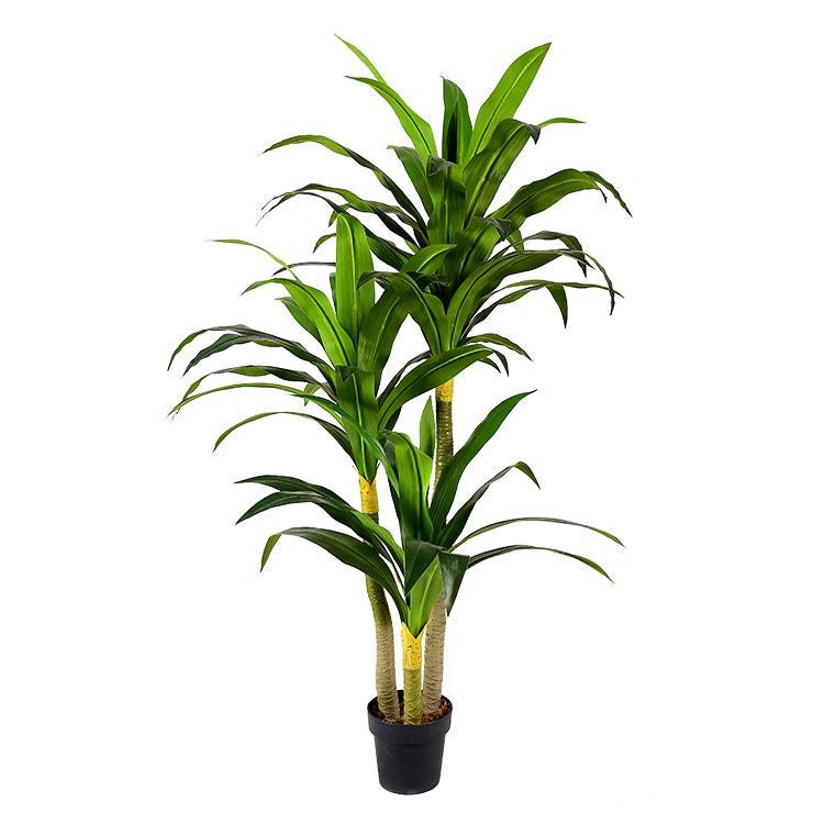 Dracaena Artificial H180