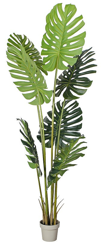 Planta artificial Monstera Philo H230