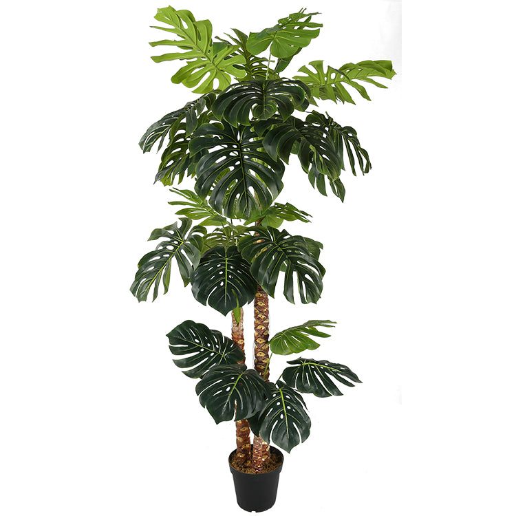 Planta Artificial Monstera Philo H220