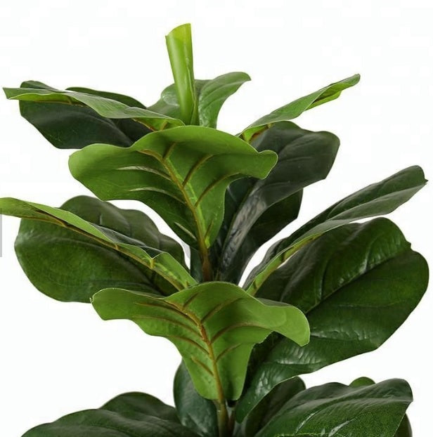 Planta Ficus artificial H175