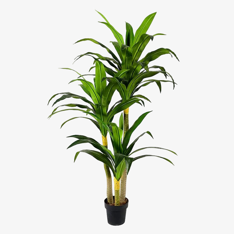 Dracaena Artificial H180