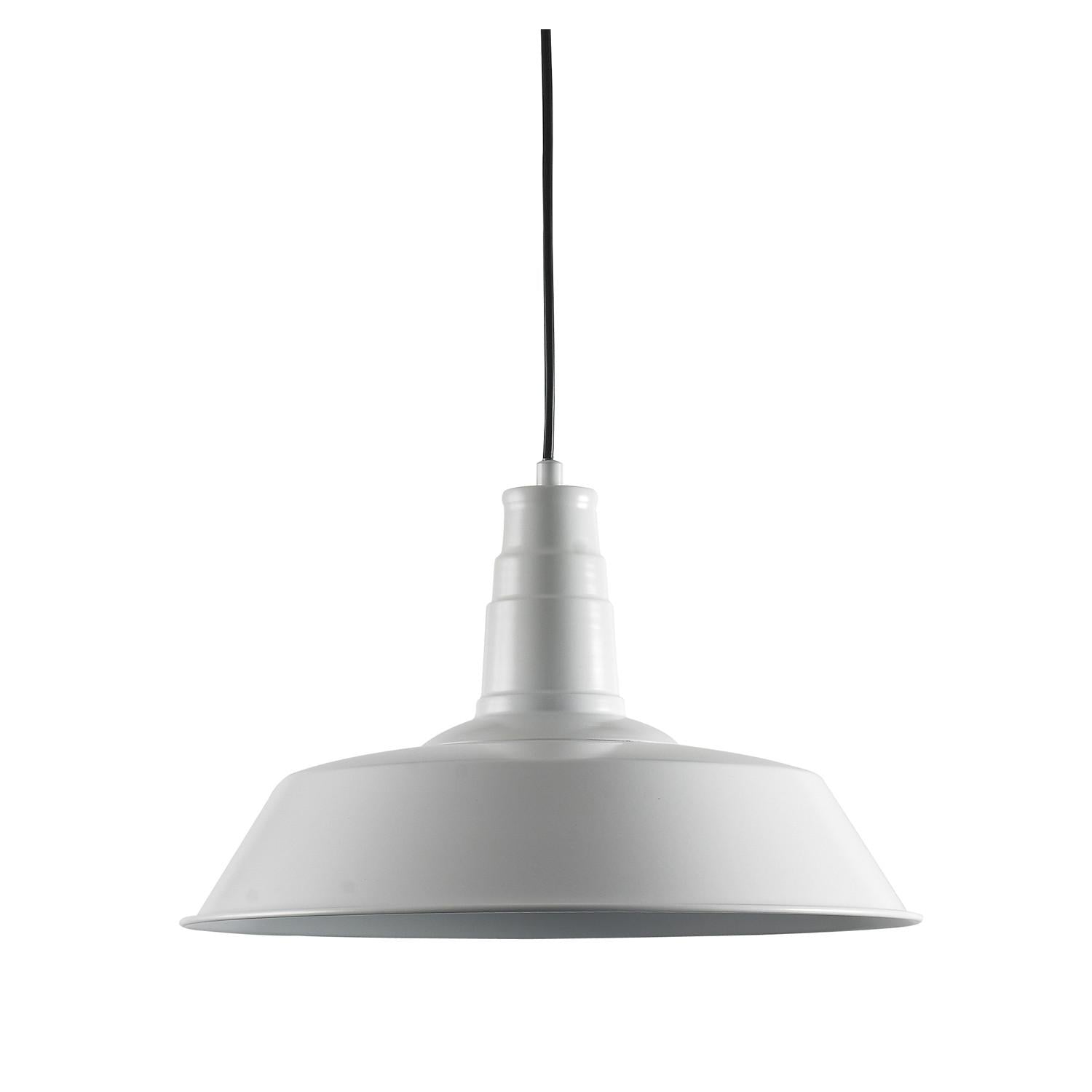 Boston Dachlampe