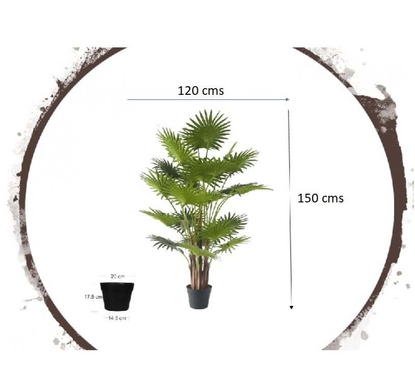 Kunstmatige Palmera Fan H150