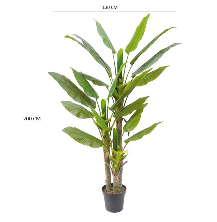 Künstliche Pflanze Canna H200