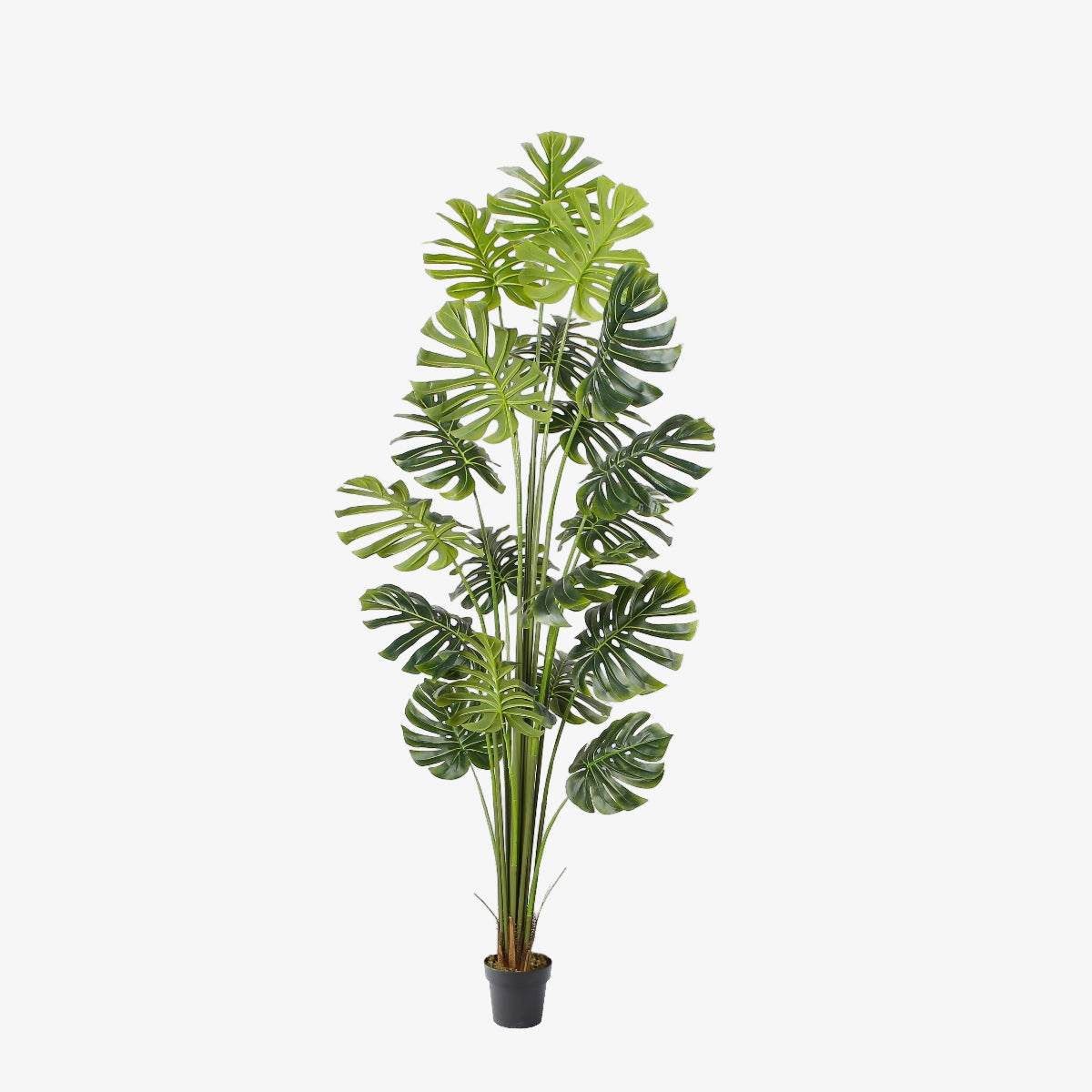 Plante artificielle Monstera Philo H240