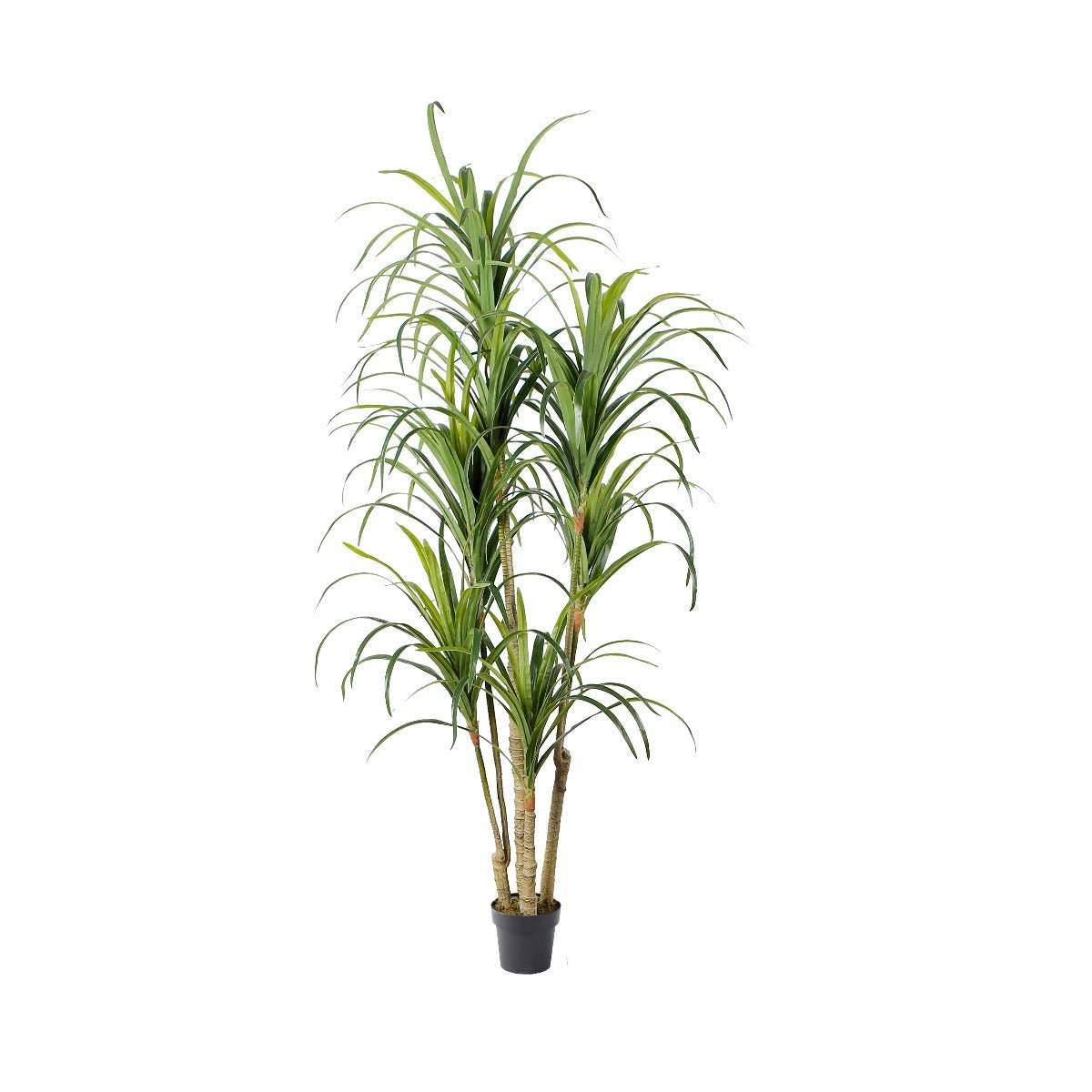 Plante artificielle Yucca H180