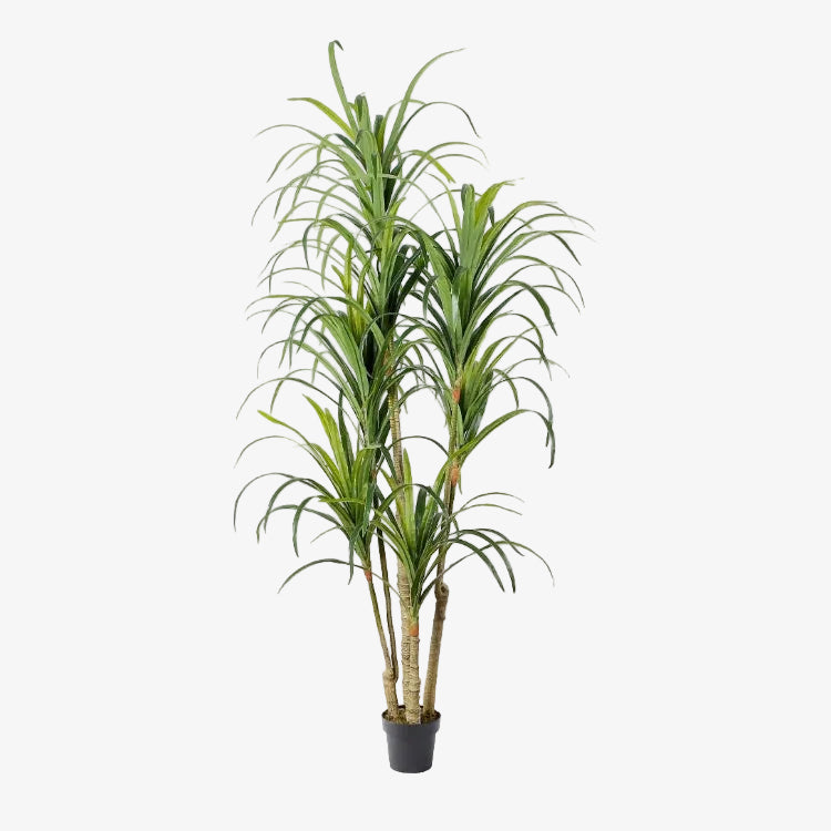 Plante artificielle Yucca H180