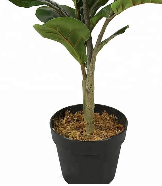 H175 Künstliche Ficus -Pflanze