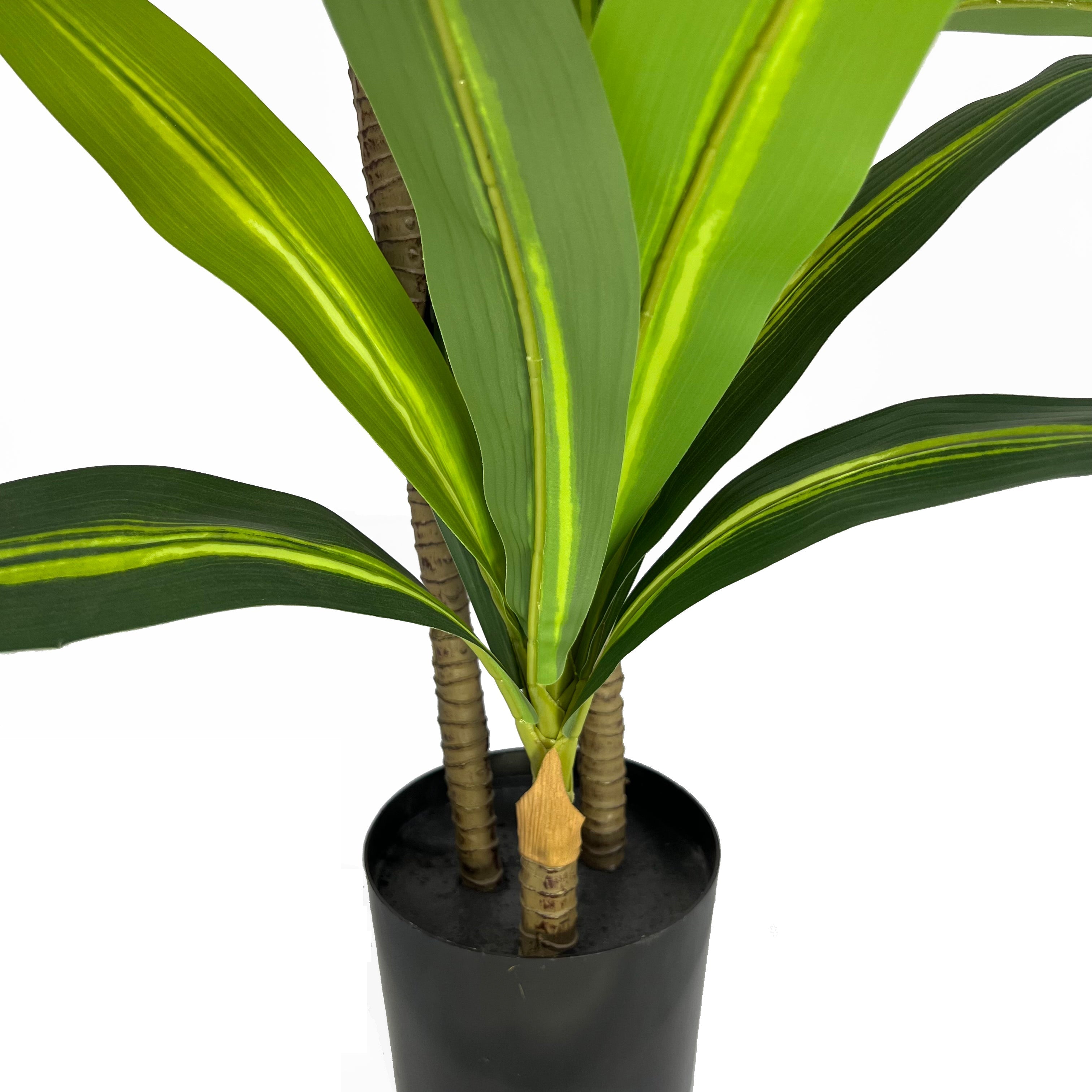 Planta artificial Dracena H90