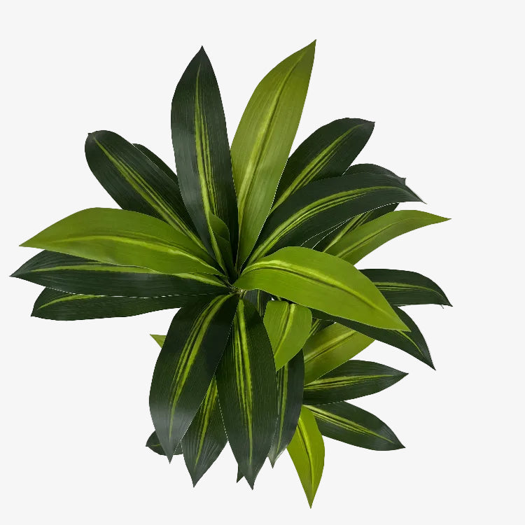 Plante artificielle Dracena H90