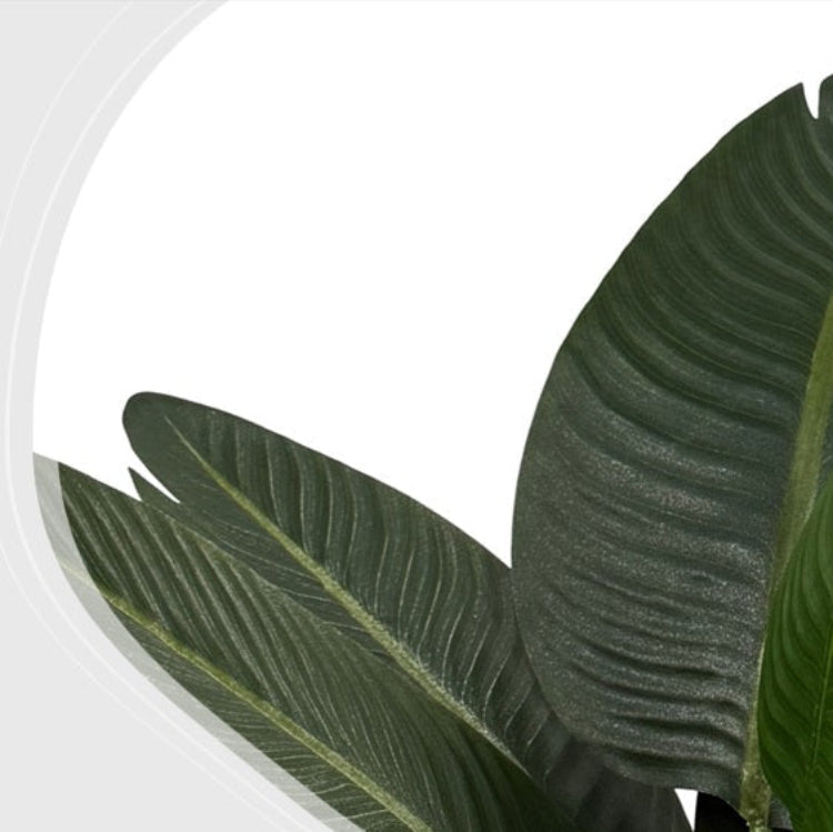 Planta Artificial Viajante 80CM