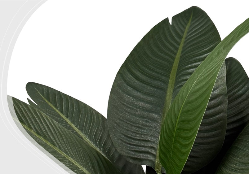 Planta artificial Viajera 80CM
