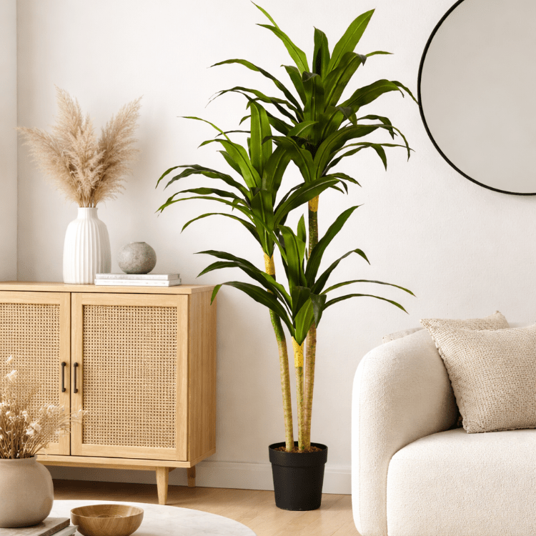 Drácena artificial H180 - Vintahome