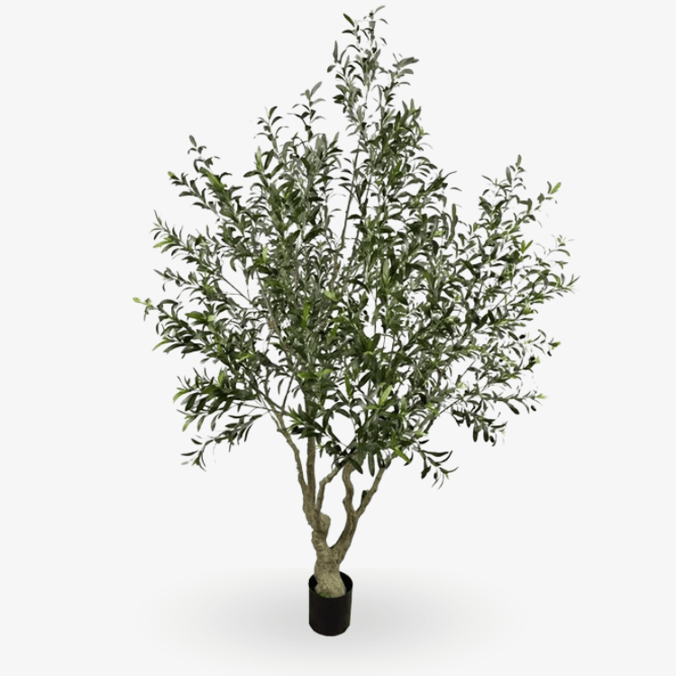 Olivo artificial H250 cm - Vintahome
