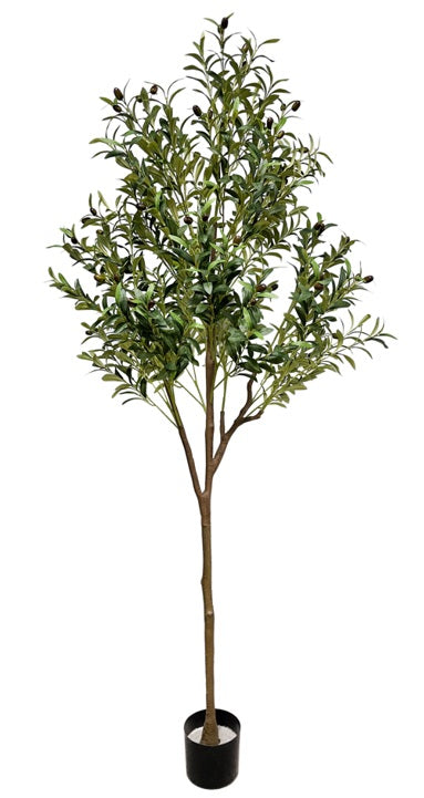 Planta Olivo artificial H180