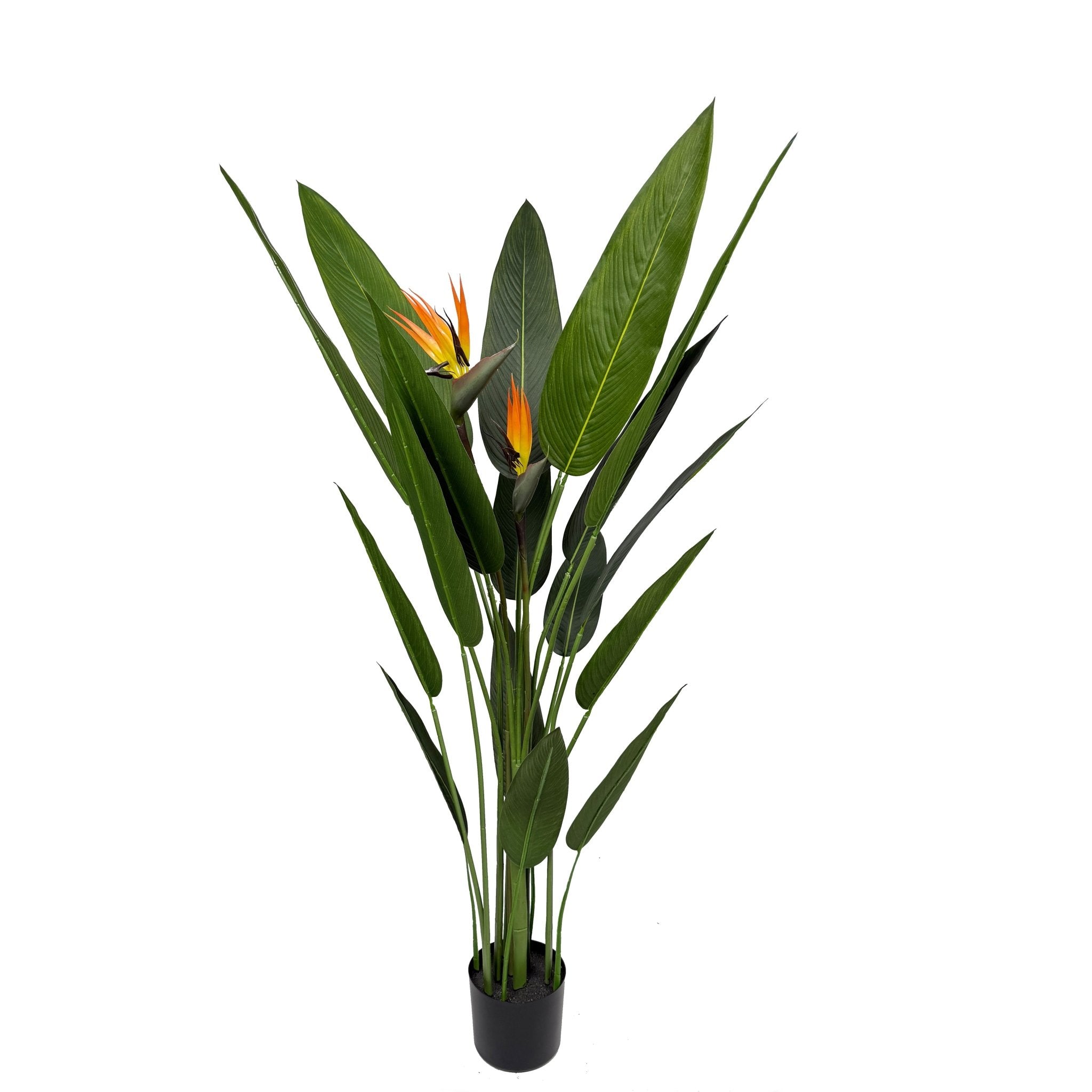 Planta artificial Ave del paraíso H140/160/180 - Vintahome